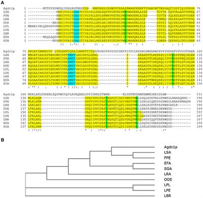 Agdc1p – a Gallic Acid Decarboxylase Involved in the Degradation of Tannic Acid in the Yeast Blastobotrys (Arxula) adeninivorans